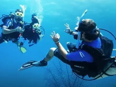 divemaster divemaster