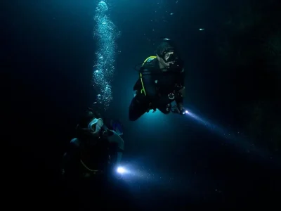 night-diver night-diver